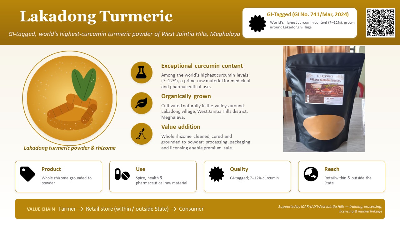 Product showcase of GI-tagged, world's highest-curcumin turmeric powder of West Jaintia Hills, Meghalaya at the 9th ASEAN India Ministerial Meeting on Agriculture and Forestry
